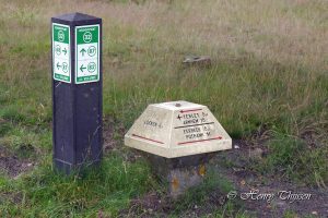 Nieuws afbeelding